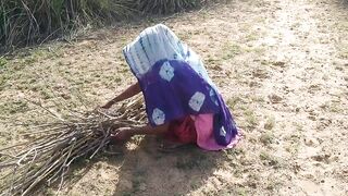 लाकडाची मोळी बनवणाऱ्या गावरान पोरीला झवली