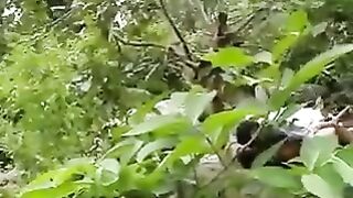 हिरव्यागार सड्यावर झवाझवी करताना देशी भाभी